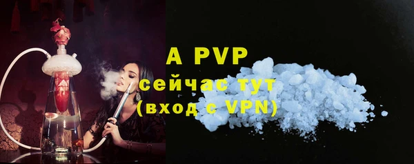 гашик Арсеньев