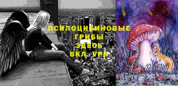 гашик Арсеньев