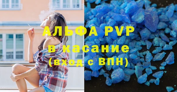 гашик Арсеньев
