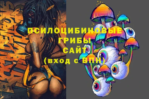 PSILOCYBIN Армянск