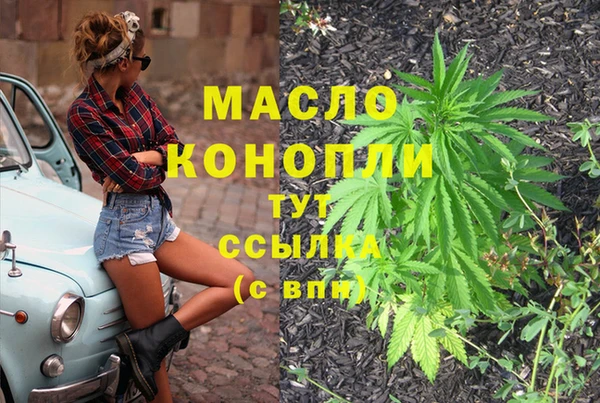 гашик Арсеньев