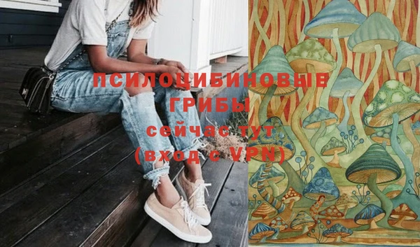 гашик Арсеньев