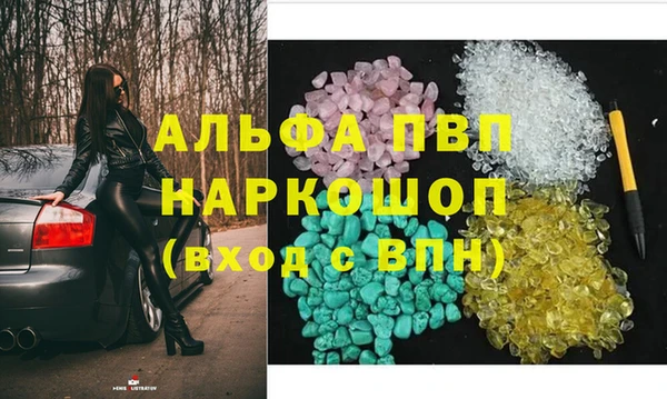 гашик Арсеньев