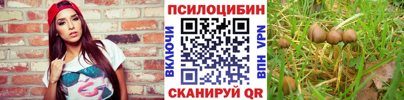 что такое   Новое Девяткино  Псилоцибиновые грибы мухоморы 